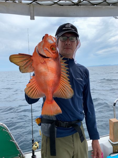 さくら丸 釣果