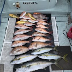 さくら丸 釣果