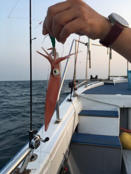 渡船屋たにぐち 釣果