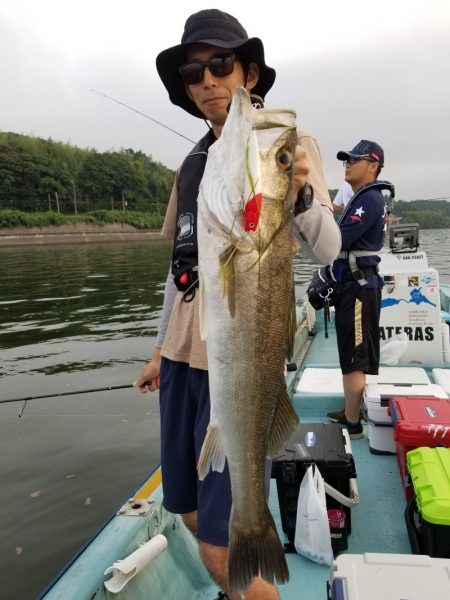 アマテラス 釣果