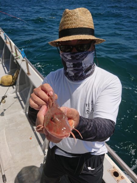 ありもと丸 釣果