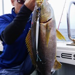 光生丸 釣果