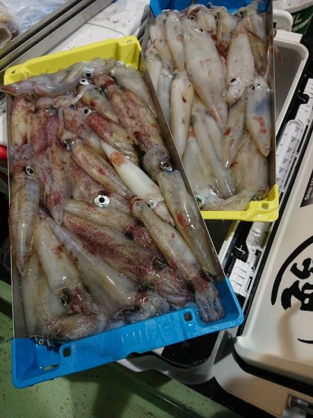 海龍丸（石川） 釣果