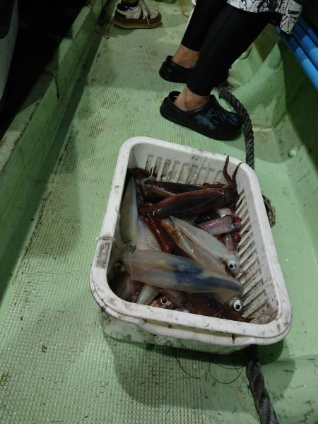 海龍丸（石川） 釣果