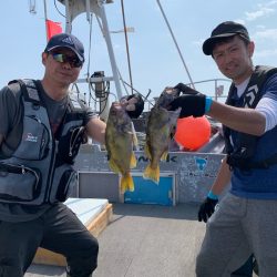 シーランチ 釣果