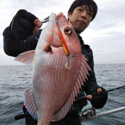 光生丸 釣果