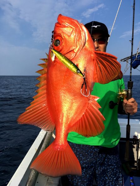 渡船屋たにぐち 釣果