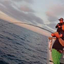 海皇丸 釣果