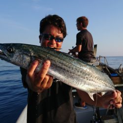 鷹王丸 釣果