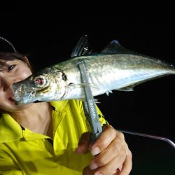 シースナイパー海龍 釣果