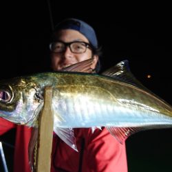 シースナイパー海龍 釣果