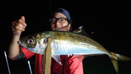 シースナイパー海龍 釣果