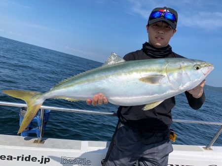 SeaRide(シーライド) 釣果