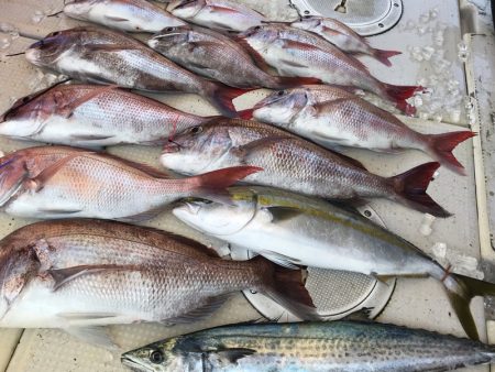 大雄丸 釣果