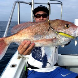 渡船屋たにぐち 釣果