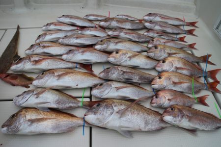 KIM Fishing Guide Service 釣果