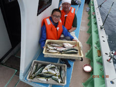 七福丸 釣果