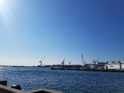 タチウオからの青物釣り♪