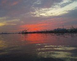 アジングの外道が太刀魚