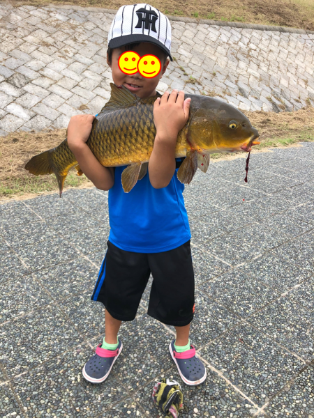 小学1年生８０ｃｍオーバーの真鯉をゲット
