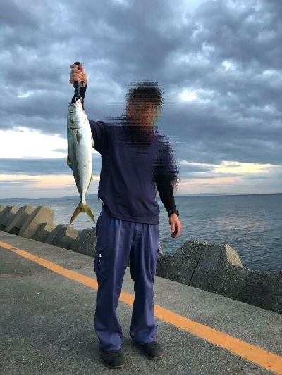 メジロ釣れました