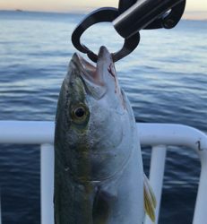 初めての海釣り園