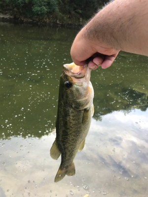 暑い中での釣り