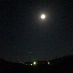 ほぼ満月の夜