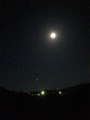 ほぼ満月の夜