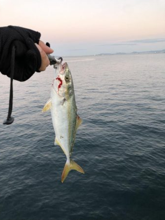 もう少し水温が下がればいい感じ