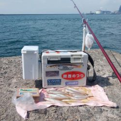 今日も、まずまずの播磨新島釣行