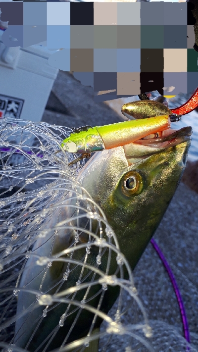 スピンテールでやっと牙狩り