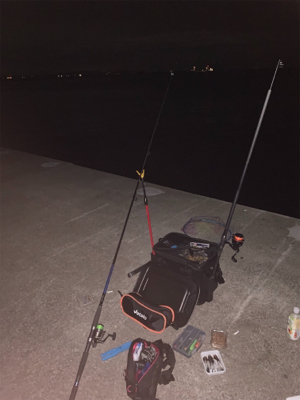 夜のアナゴ釣り