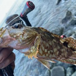 チビしか釣れない