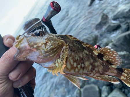 チビしか釣れない