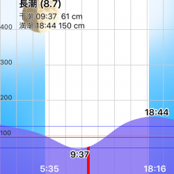 渋い中 ツバス キャッチ