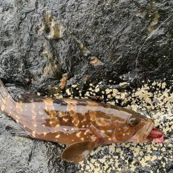 雨の中、渋め