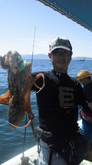 明石沖のマダコ釣り　名田屋乗合船