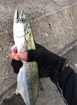 なんとか大きいの釣れた