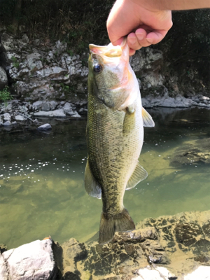 暑い中での釣り
