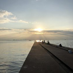 今年初の神戸タチウオ