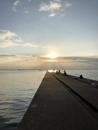 今年初の神戸タチウオ