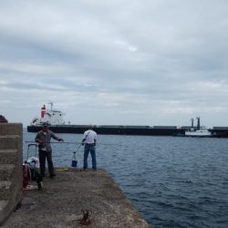 10時から爆釣の播磨新島釣行