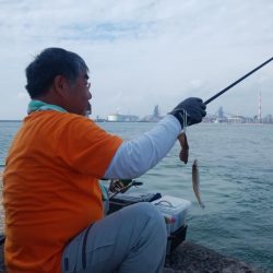 今日も、まずまずの播磨新島釣行