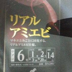 昨日ジグサビキが不調だったのでサビキ仕掛けを試しにシーサイドコスモへ