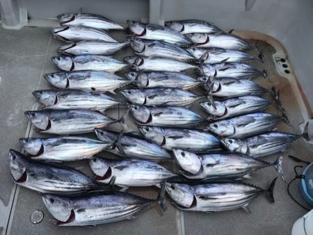 へいみつ丸 釣果