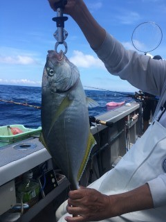 博栄丸 釣果