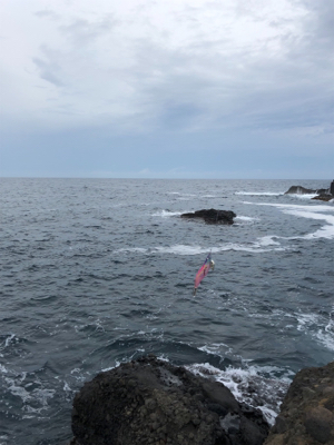 台風前の海が呼んでる！(^ ^)