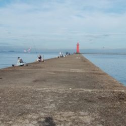 潮の動き今一でもキスが釣れる播磨新島