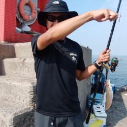 数が釣れ始めた播磨新島釣行